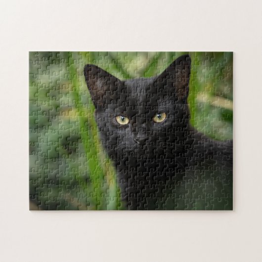 Black Cat Animal Jigzaag Puzzle Legpuzzel (Horizontaal)