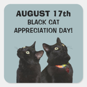 Black Cat Appreciation Day-Stickers Vierkante Sticker