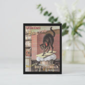 Black Cat Baking Soda Buffalo Verenigde Staten Briefkaart (Staand voorkant)