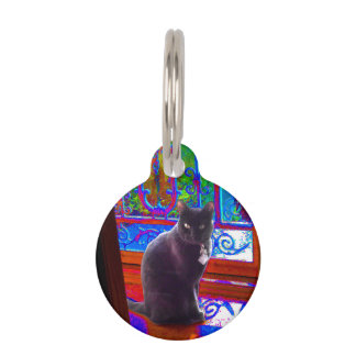 Black Cat bewaakt een psychedelische deuropening Huisdierpenning