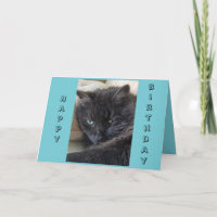 Black Cat Birthday Kaart