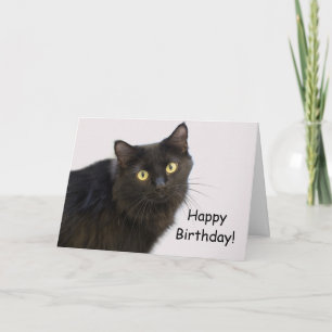 Black Cat Birthday Kaart beroemd gemaakt door Focu