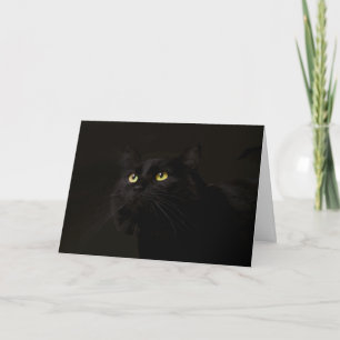 Black Cat Birthday Kaart beroemd gemaakt door Focu