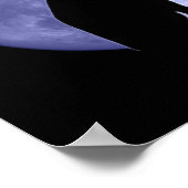 Black Cat Blue Moon Affiche (Coin)