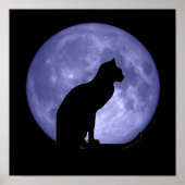 Black Cat Blue Moon Affiche (Devant)