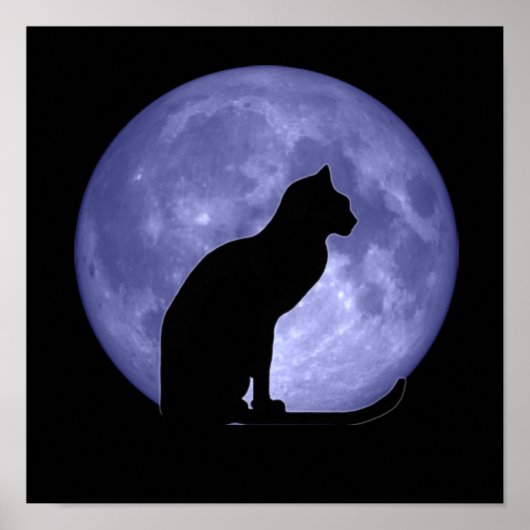 Black Cat Blue Moon Affiche (Devant)