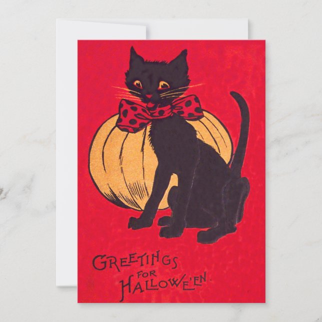 Black Cat Bowtie Pumpkin  (Voorkant)