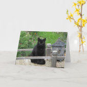 Black Cat Bridge Carte d'anniversaire la plus heur (Fleur jaune)
