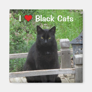 Black Cat Bridge I Love Black Cats Magnet Magneet
