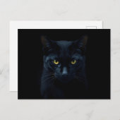 Black Cat Briefkaart (Voorkant / Achterkant)