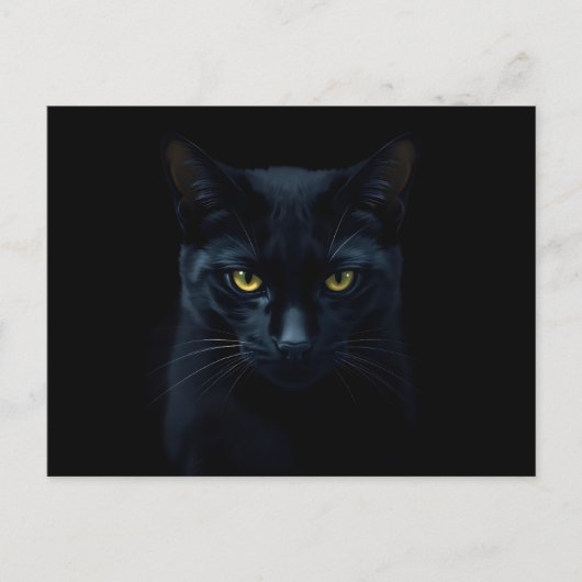 Black Cat Briefkaart (Voorkant)