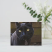 Black Cat Briefkaart (Staand voorkant)