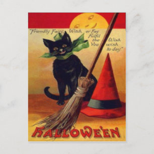 Black Cat Broom Pet Full Moon Briefkaart