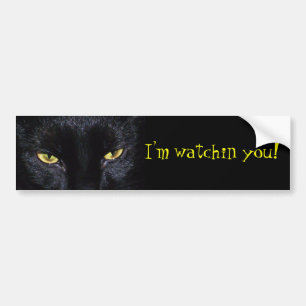 Black Cat Bumpersticker