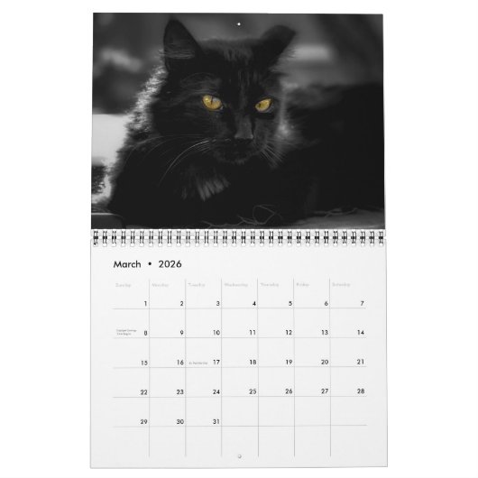 Black Cat Calendar Kalender (Mar 2026)