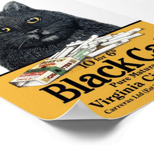 Black Cat Cigarettes Poster (Hoek)