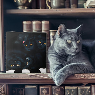 Black Cat Cuddle Tegeltje