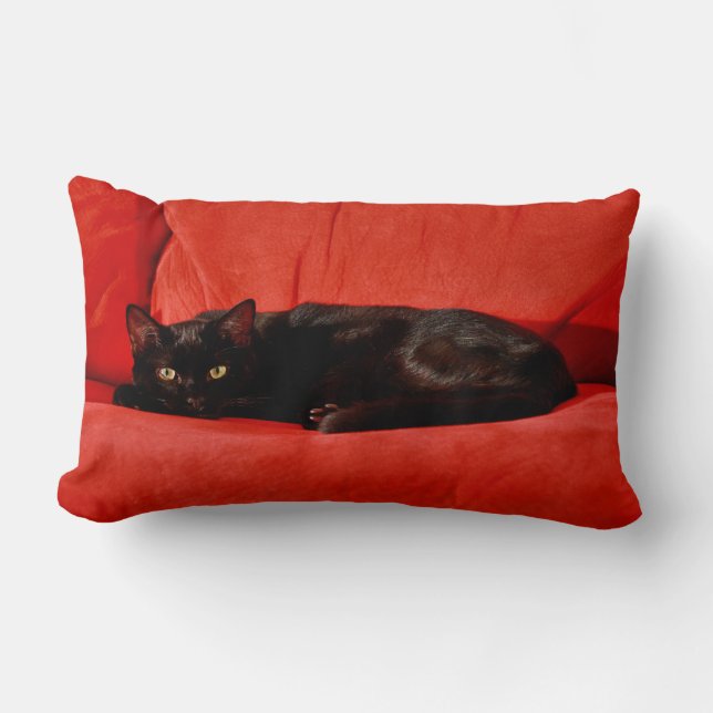 Black Cat Edgar Kussen (Voorkant)