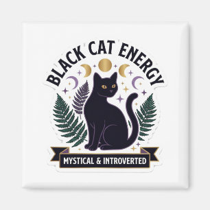 Black Cat Energie - Mystieke en Introverte Hemel Magneet