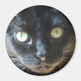 Black Cat Face Magneet