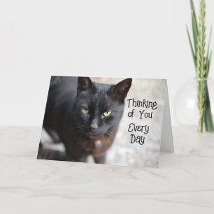 Black Cat Folded Pensée de vous Carte de voeux