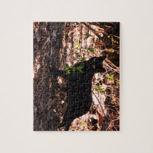 Black Cat-foto Legpuzzel