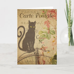 Black Cat French Postcard Card Kaart