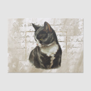 Black Cat Gold French Script Gold Lijst  Tissuepapier