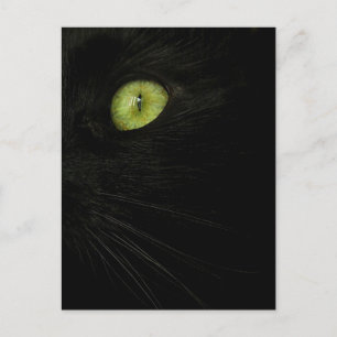 Black Cat, Green Eye briefkaart