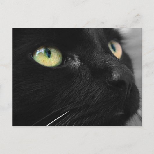 Black Cat Green Eyes Briefkaart (Voorkant)
