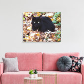 Black Cat herfst foto single Canvas Afdruk (Insitu (Woonkamer))
