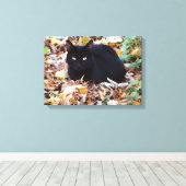 Black Cat herfst foto single Canvas Afdruk (Insitu (Houten vloer))