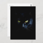 Black Cat in the black Night Briefkaart (Voorkant / Achterkant)
