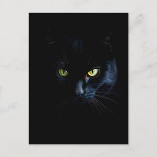 Black Cat in the black Night Briefkaart