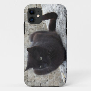 Black Cat iPhone 5 hoesje-partner 11 Hoesje