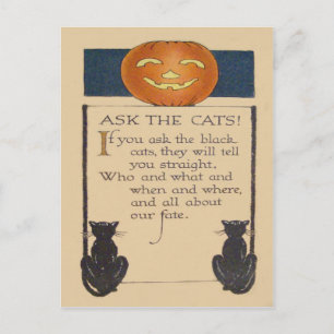Black Cat Jack O' Lantaarn Pompoen Briefkaart