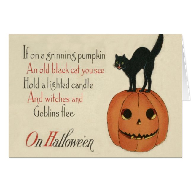 Black Cat Jack-o'-lantern Citrouille Orange (Devant horizontal)