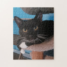 Black Cat Jigzaag Puzzle Legpuzzel
