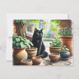 Black Cat Katten Katten Kweken Schattige Briefkaart