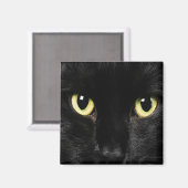 BLACK CAT Locker Magnets, koelkast Magneet (Voorkant / Achterkant)
