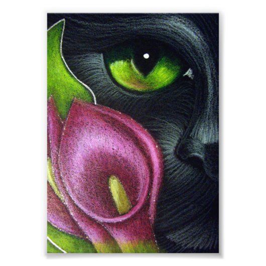BLACK CAT MAGENTA CALLA LILY FLOWINT PRINT FOTO AFDRUK (Voorkant)