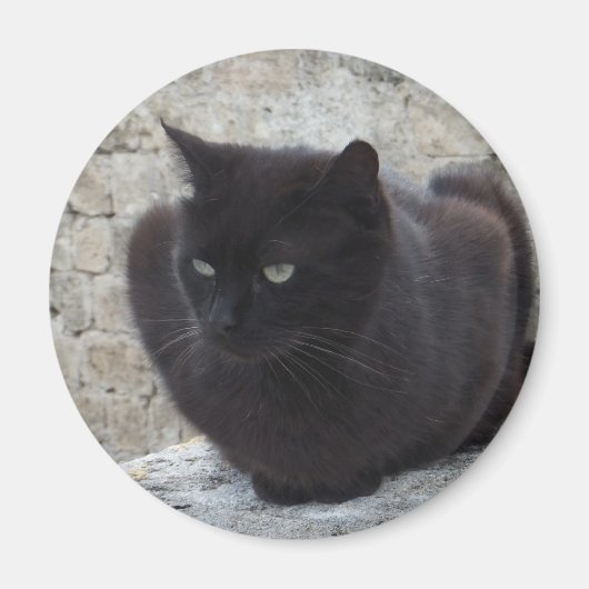 Black Cat magneet (Voorkant)