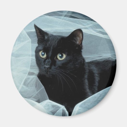 Black Cat Magnet Magneet (Voorkant)