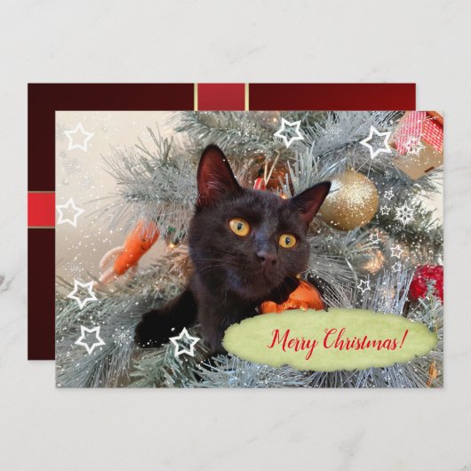 Black Cat Merry kerst Bedankkaart (Voorkant / Achterkant)