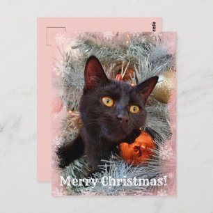 Black Cat Merry kerst Briefkaart
