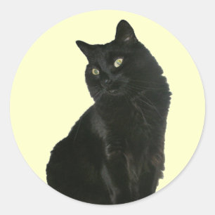 Black Cat met Golden Eyes Sticker