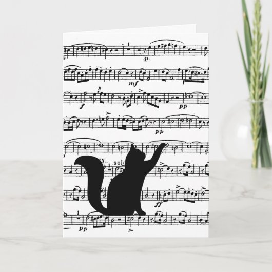 Black Cat On Music Carte Anniversaire (Devant)