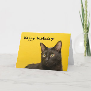 Black cat on Yellow Birthday Kaart