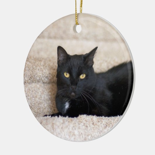 Black Cat ornament (Links)