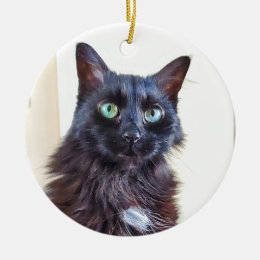 Black Cat Ornament (Voorkant)